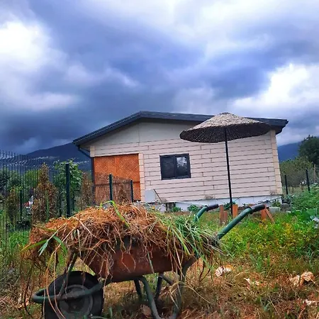 Canbul Village Lägenhet Sapanca